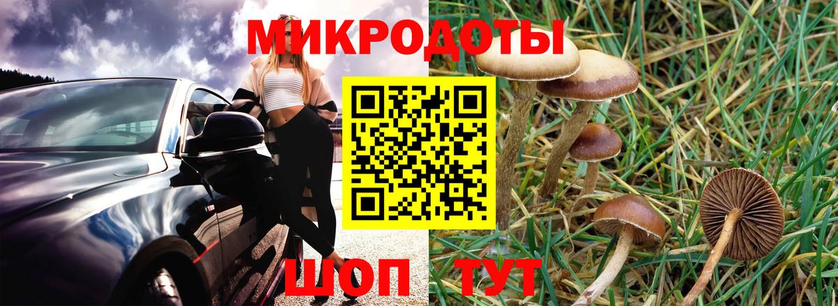 где продают   Вход с VPN  Когалым  Псилоцибиновые грибы GOLDEN TEACHER  Галлюциногенные грибы мухоморы 